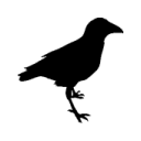 Raven Icon 128x128